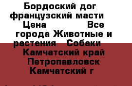 Бордоский дог ( французский масти)  › Цена ­ 50 000 - Все города Животные и растения » Собаки   . Камчатский край,Петропавловск-Камчатский г.